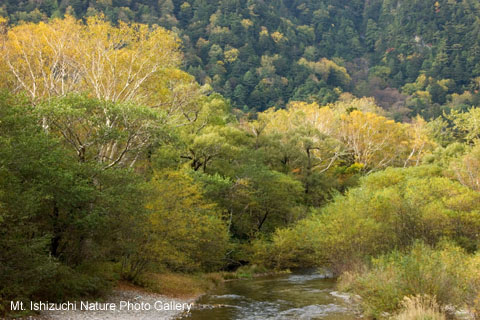 kamikochi (12)